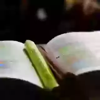 Life Groups